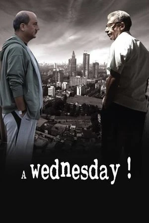 A Wednesday 2008 Hindi Dual Audio WEB-DL 720p - 480p - 1080p