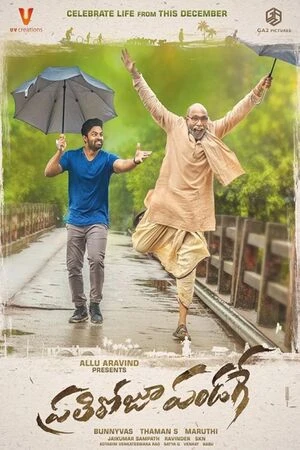 Prati Roju Pandaage 2019 Hindi Dual Audio WEB-DL 720p - 480p - 1080p